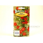 Wilec szkarłatny (Quamoclit coccinea) - 1 g