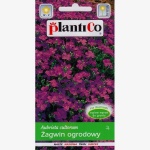 Żagwin ogrodowy (mieszanka) (Aubrieta cultorum) - 0,3 g