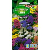 Zatrwian wrębny (mieszanka) (Limonium sinuatum) 0,5 g