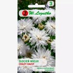 Złocień o kwiatach półpełnych CRAZY DAISY (Chrysanthemum maximum fl.pl) - 0,2 g